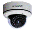 OUTDOOR DOME SECURITY CAMERAS